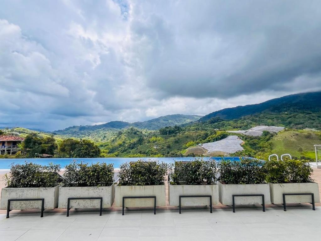 Cozy Apartment in exclusive Northern Area of Armenia - 5