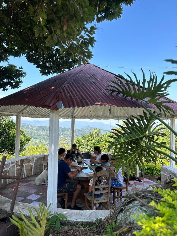 Finca Dinastia - 5