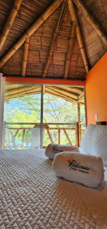 Hotel y termales Las Heliconias - 2