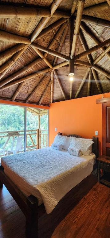 Hotel y termales Las Heliconias - 3