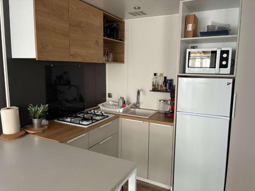 Le parc des roselieres 61 Saint Hilaire de Riez - 5