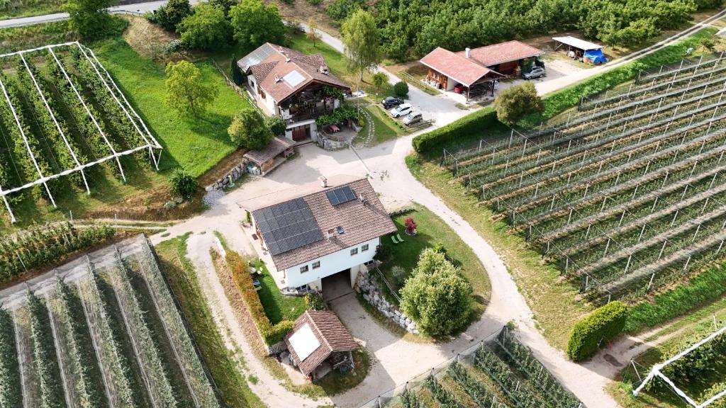 Agritur Maso Pra' Cavai B&B - 5