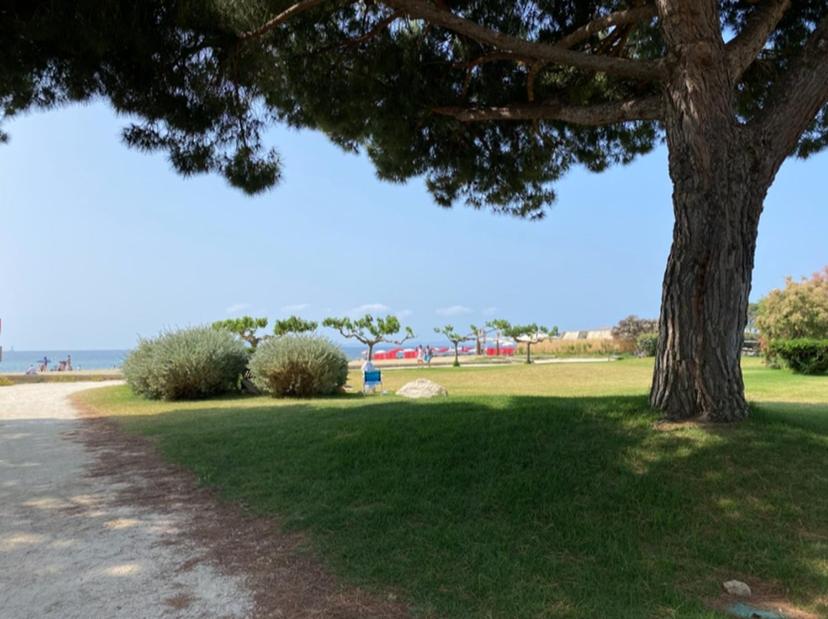 Joli studio cabine à quelques mètres des plages - 2