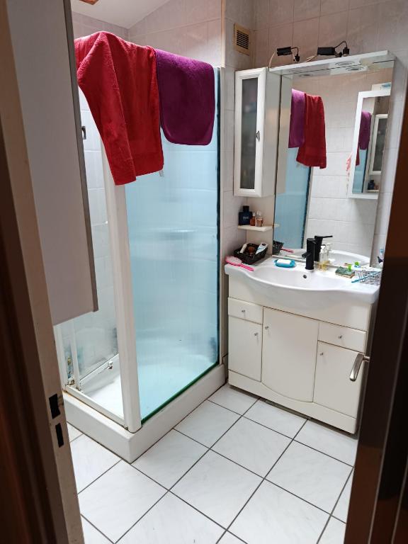 Duplex t4 Annecy - 3