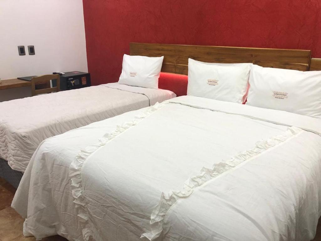 Las Raices de Oaxaca Hotel Boutique - 4