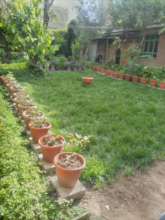 Casa Hospedaje Qinti - 5