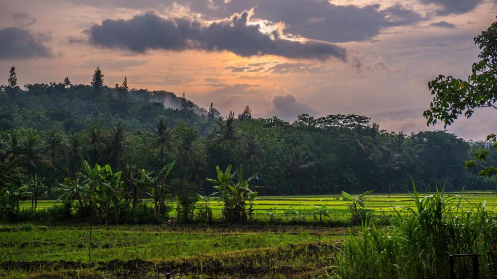 Surrounding environment