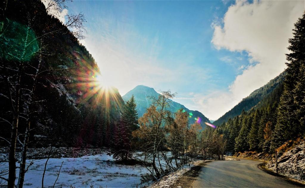 Surrounding environment