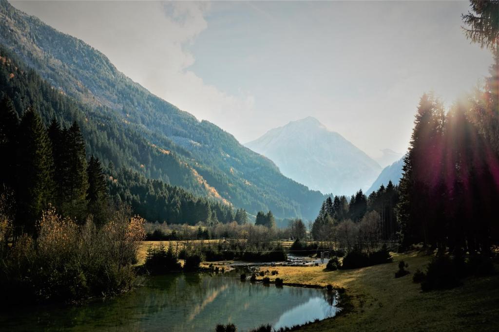 Surrounding environment