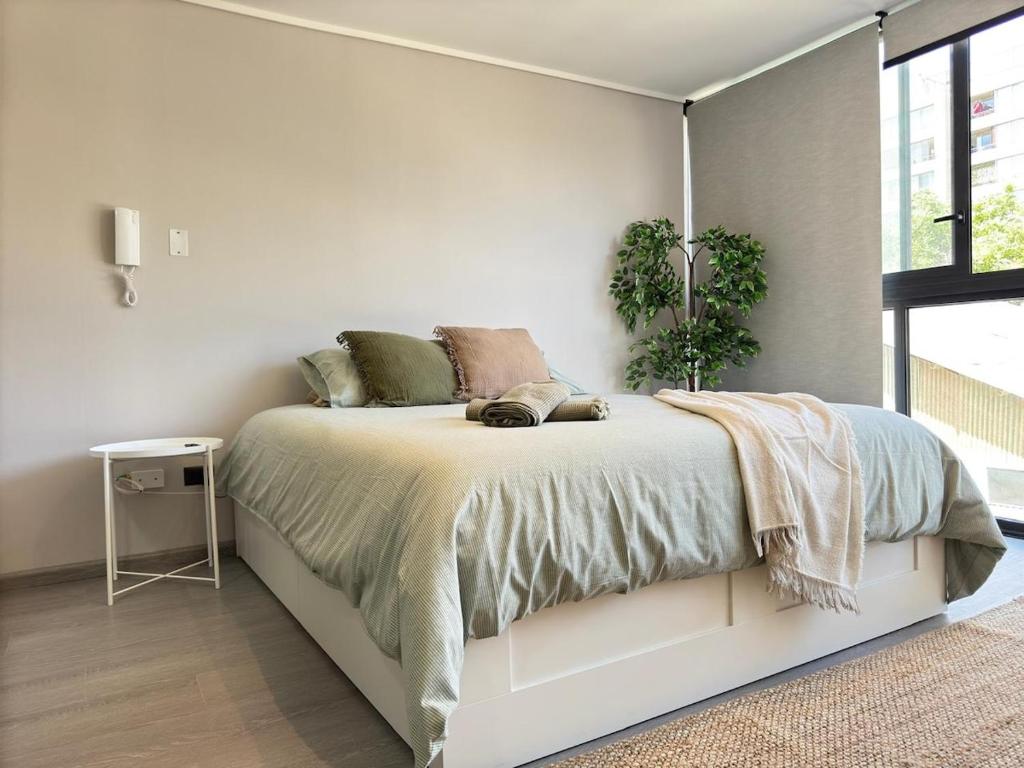 Elegant apartment in Movistar Arenas, Parque OHiggins - 2