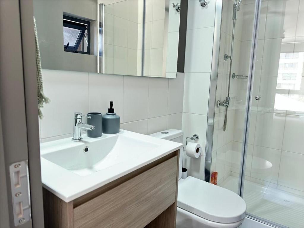 Elegant apartment in Movistar Arenas, Parque OHiggins - 5