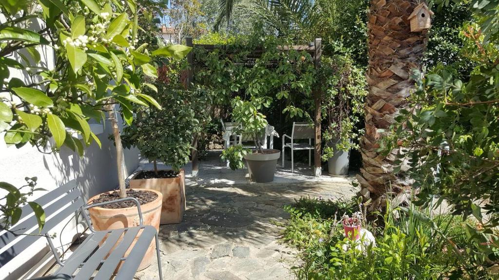 Appartement lumineux avec jardin privatif - 5