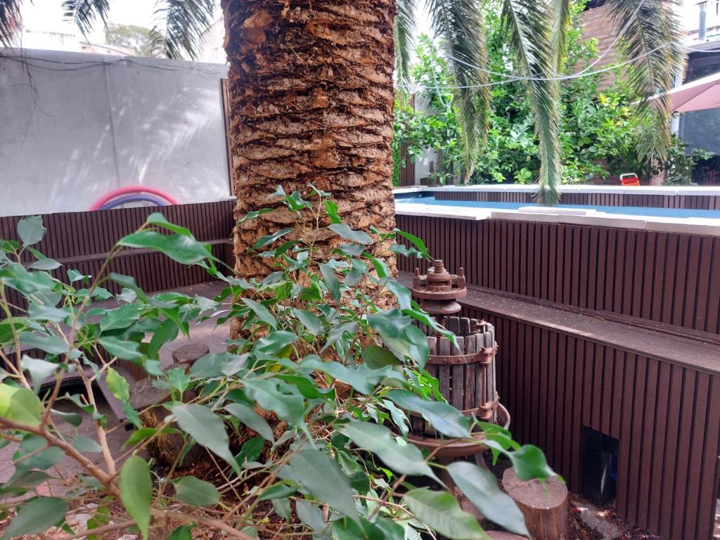 Loft Salta - 3