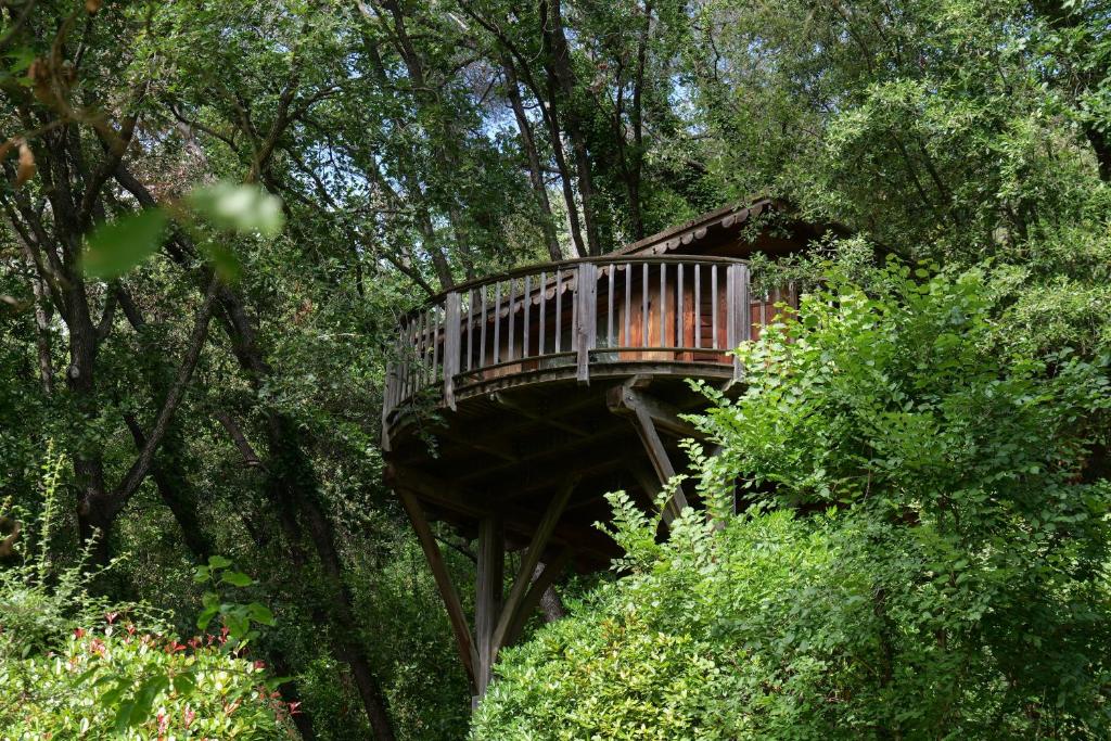 Orion Treehouses - 1