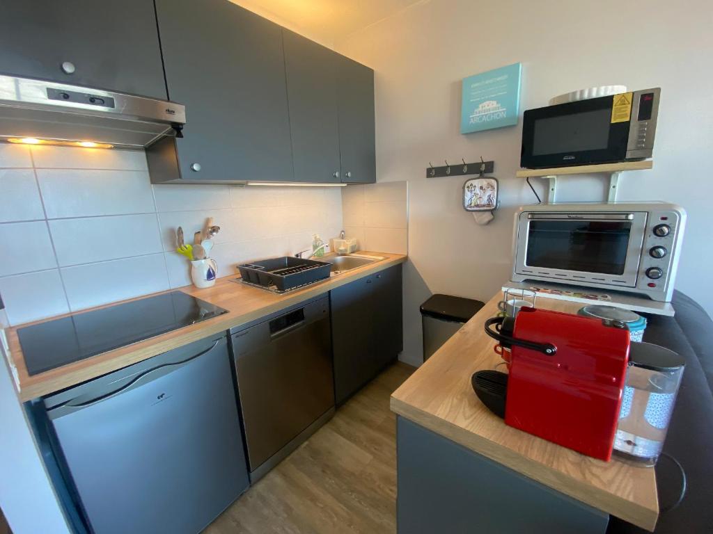 Appartement T2, vue mer superbe - 4 pers. - FR-1-374-244 - 2