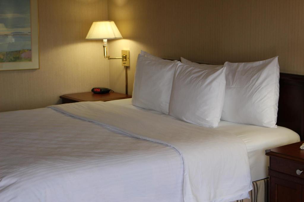 Days Inn & Suites by Wyndham Sunnyvale photo