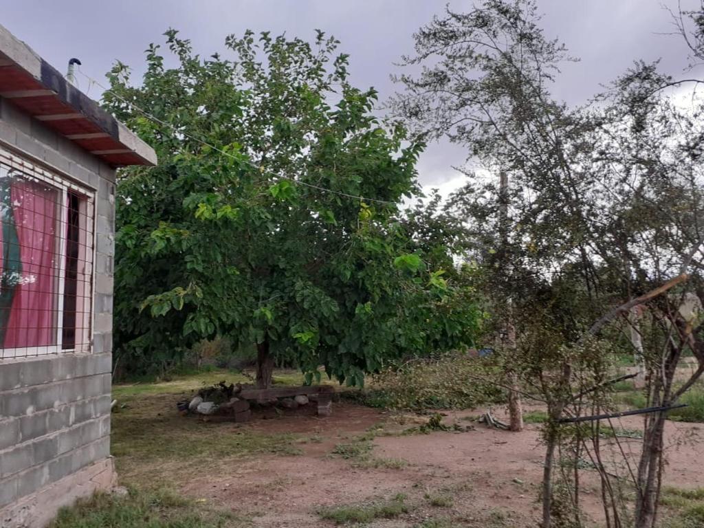 Los Robledos, Alta Montaña Suite - 1