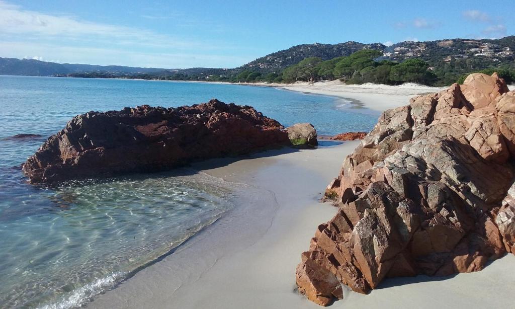 Villa pour4 pers à 700m de la plage de palombaggia - 3