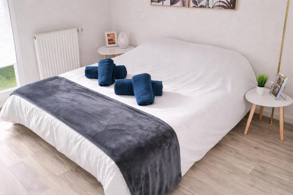 T3 centre La Teste-de-Buch Terrasse 2 parkings Wi-Fi fibre 4 pers - 4
