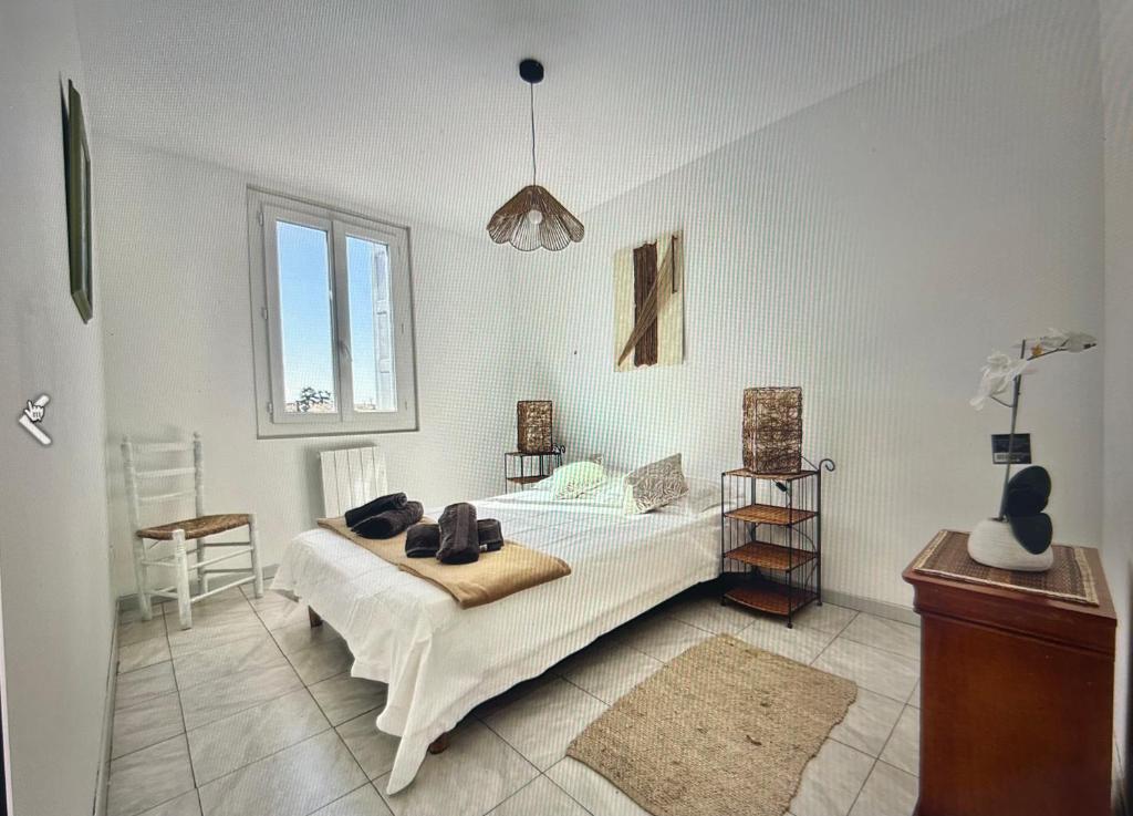 Centre Carcassonne apartment with private sunny terrace - 5