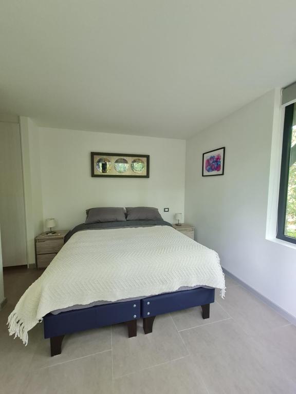 Departamento Pucon Los Lingues 414 - 4
