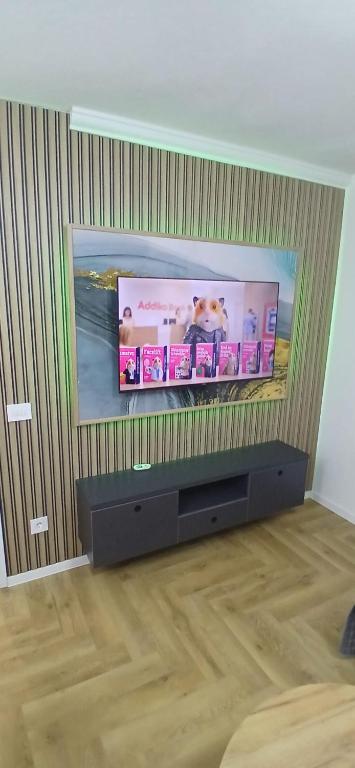 Centar Banja luka apartment - 5