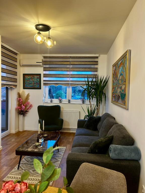 SteLa Apartman - 4