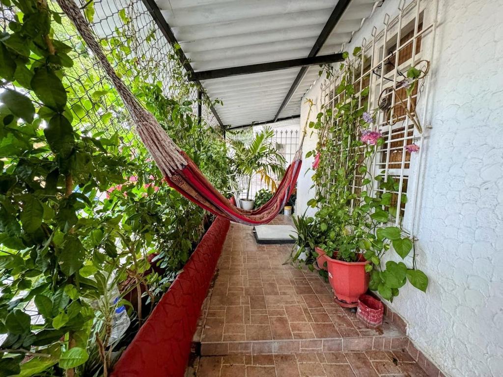 Spacious apartment in the center of Santa Marta - 2