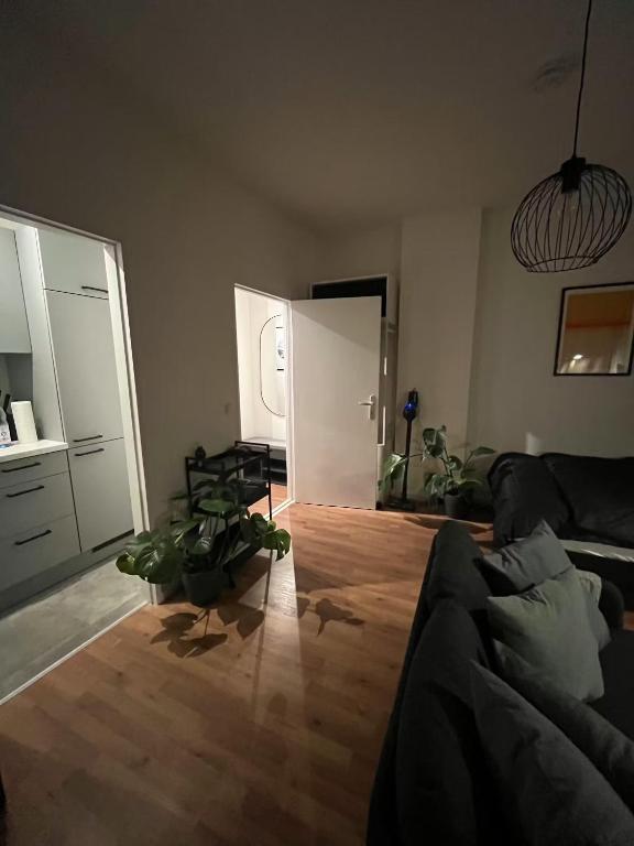 Apartments Sirena Mare - 4