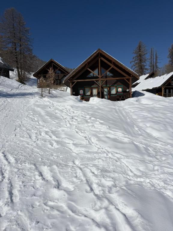 Duplex cosy jusqu'à 6 personnes- chalet des Pléiades - départ skis aux pieds en bordure de piste sans portage - au milieu des fleurs en été - l'autre duplex du chalet est également à nous - 2