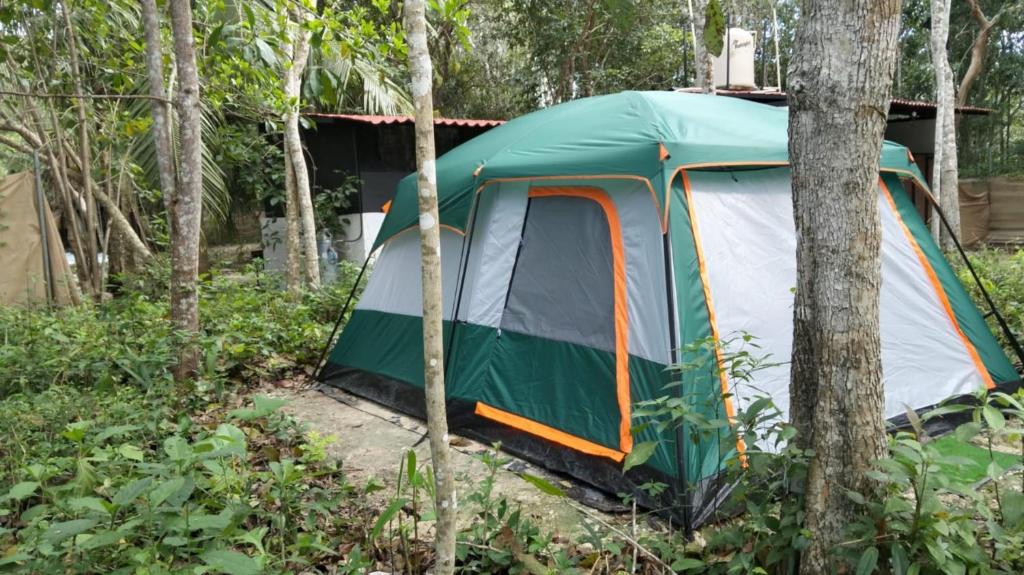 Bacalar Inn Hotel & Glamping Bacalar - 5