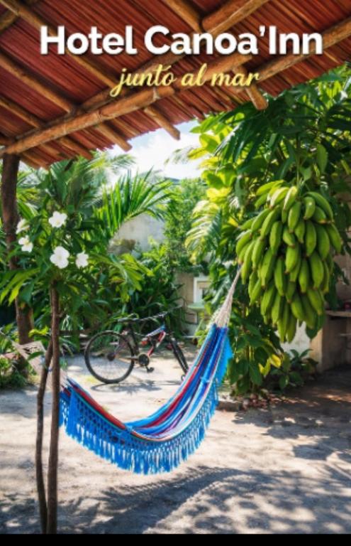 Hostal Canoa Inn Surf - 4