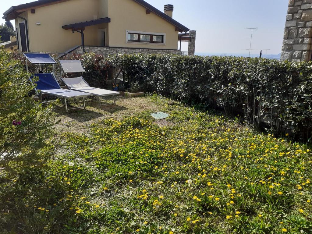Limonaia38 - 2
