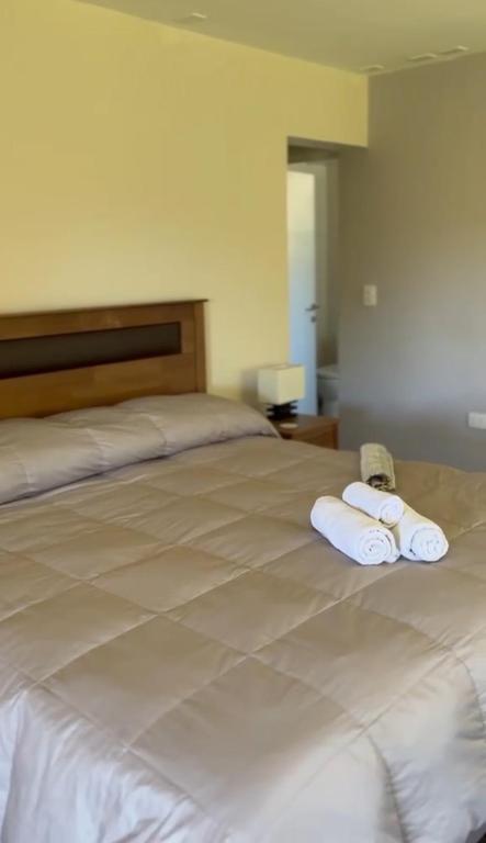 Hotel Casa Las Taguas - 4
