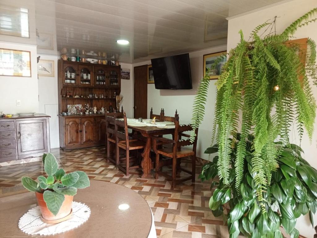 Habitación acogedora en Villa de Leyva cerca al parque principal y escenarios deportivos - 5
