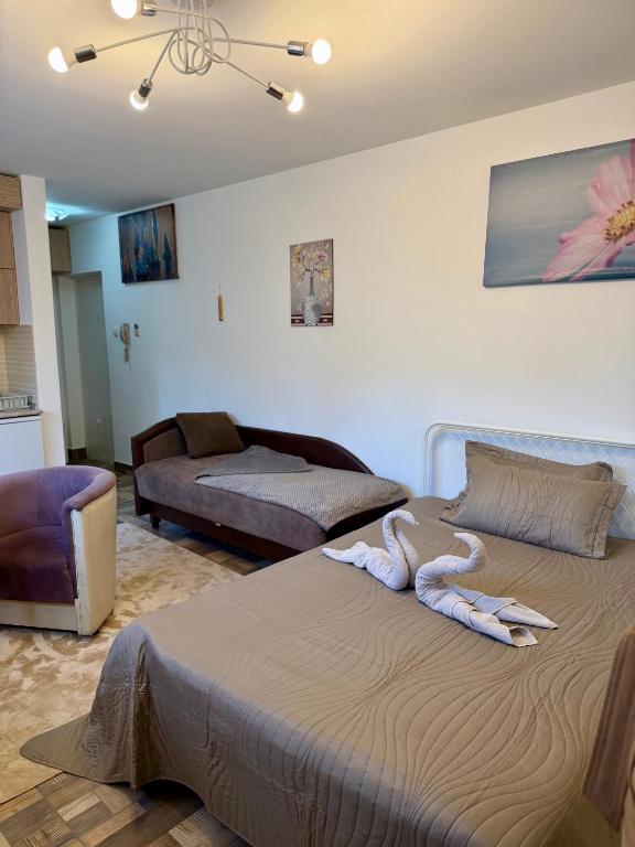 Apartman Kitanović 2 Vrnjačka Banja - 4