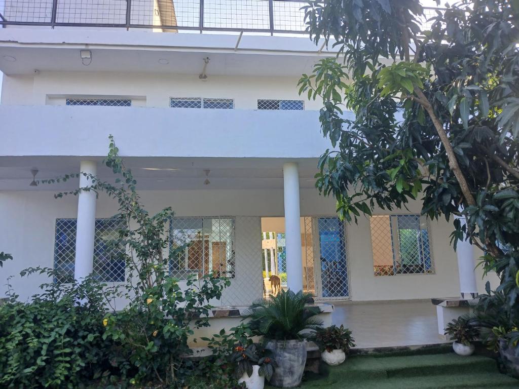 Finca # 2 - Bayunca - 5