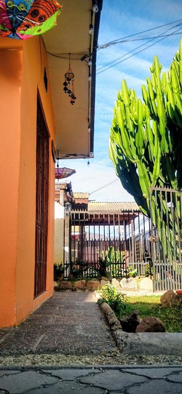 La Casa de los Cactus - 5