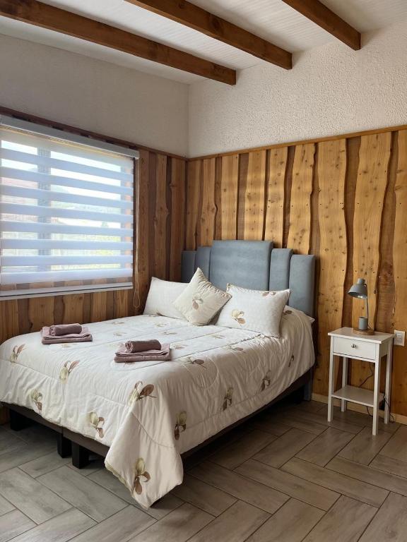 Loica Loft - 2