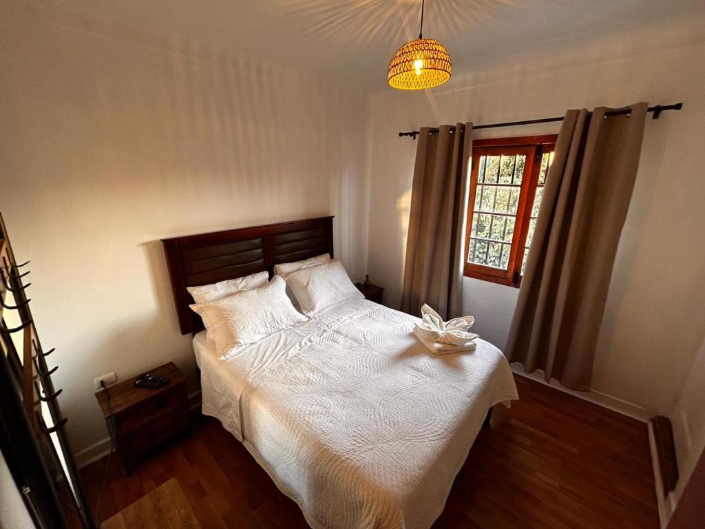 Forest Hostel - 1