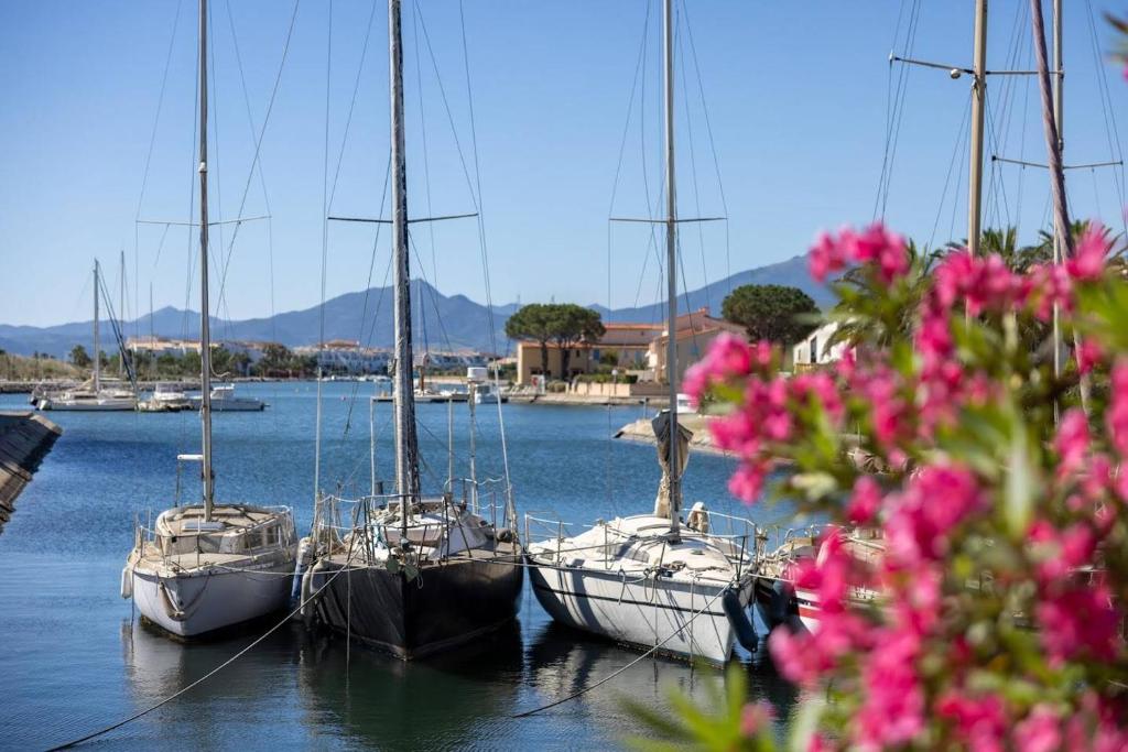 Appartement sur la lagune ST CYPRIEN PLAGE sc840-313 - 3