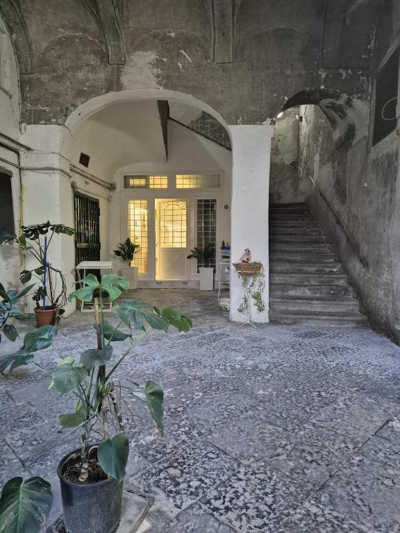 Casa D'Antò-700 Borbonico - 5