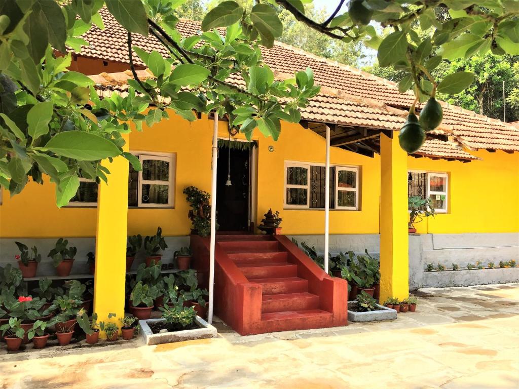 Guddadamane Homestay — Hotel in Chikmagalur