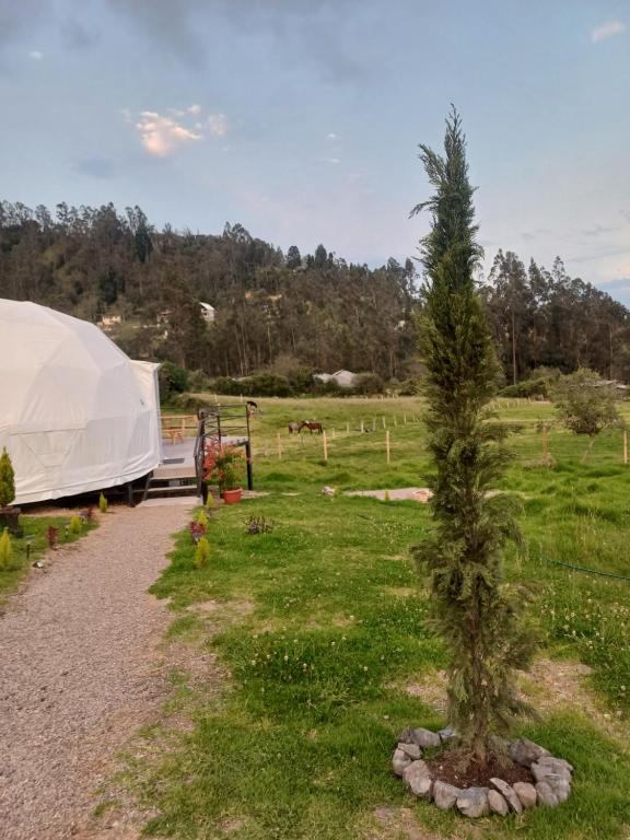 Cachihuayco Glamping & Ecolodge - 3