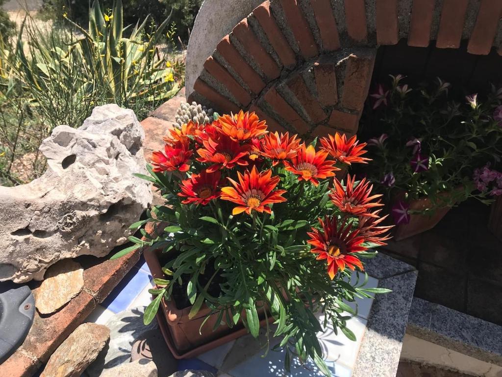 La casa dei nonni - Cala Gonone - 4