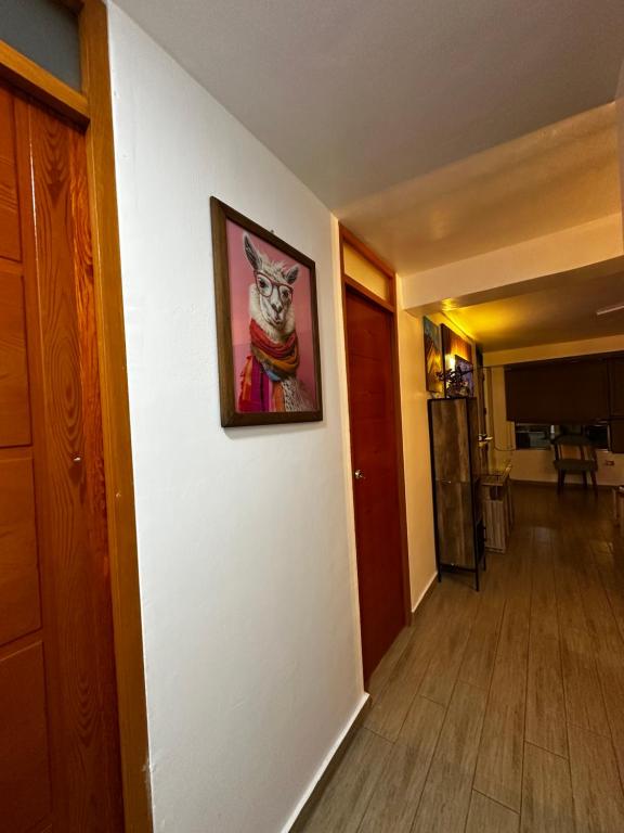 Cozy Inn Apartment Cusco - 5