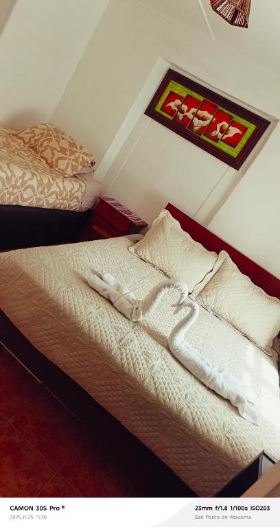 Hostal Nativo SPA - 4