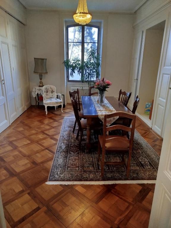 Spacious unique 150m2 apartment Geneva city center - 2
