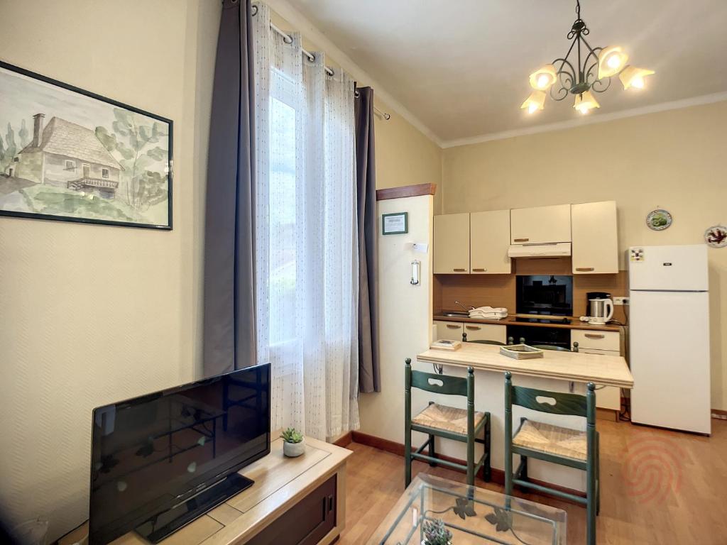 Bel F2 lumineux avec terrasse privée, à 5 min des Thermes et cœur de ville, animaux acceptés - FR-1-451-37 - 4
