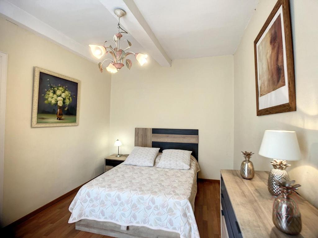 Bel F2 lumineux avec terrasse privée, à 5 min des Thermes et cœur de ville, animaux acceptés - FR-1-451-37 - 5